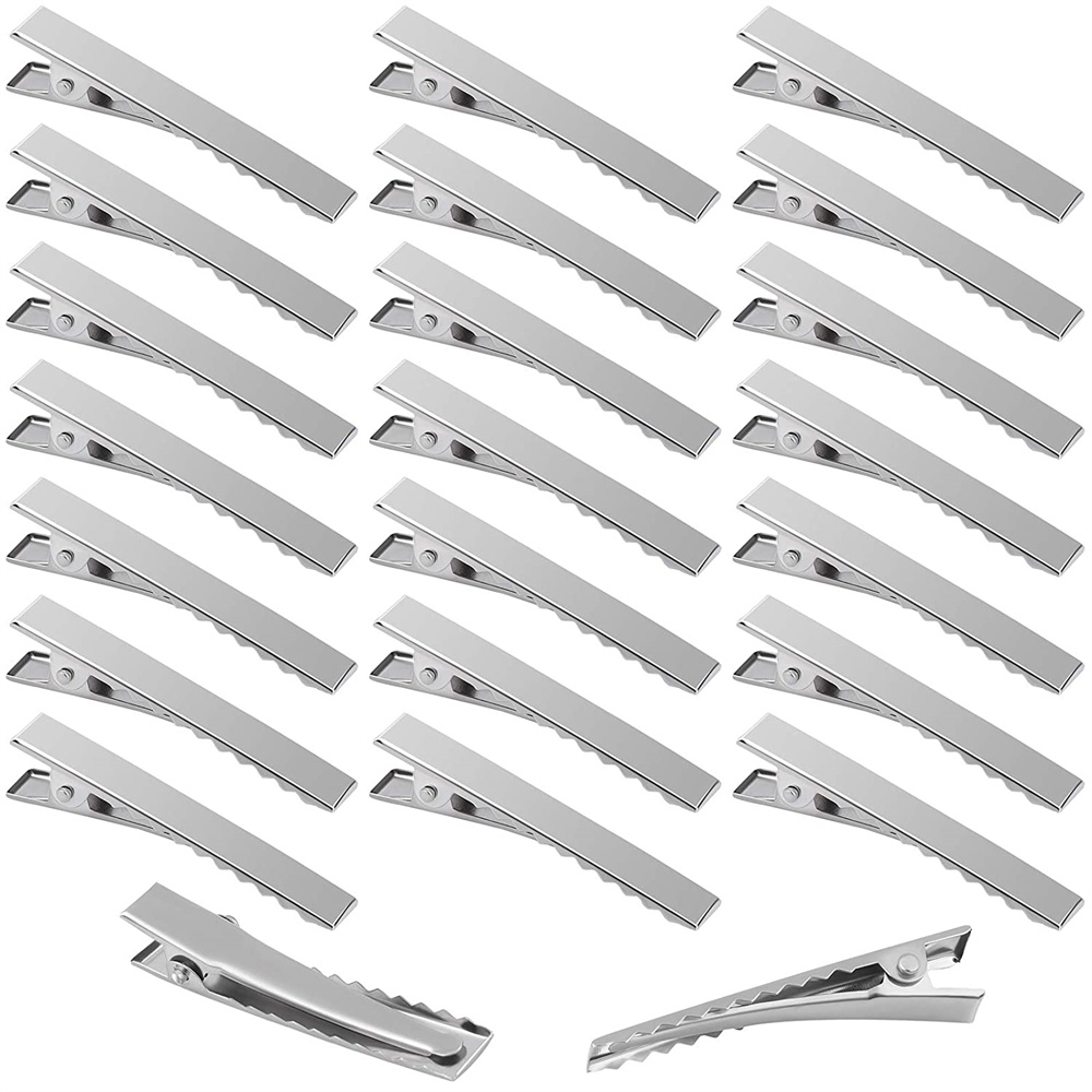 Hair Care Zinc - 20 piezas pinzas para el cabello